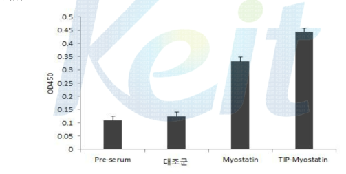 TIP-myostatin 표면발현 유산균 경구투여 후 마우스의 항체가 확인.