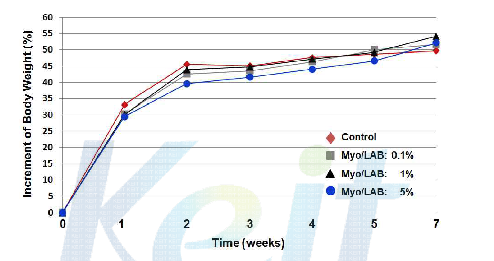 Myostatin을 표면발현 유산균을 농도별로 투여한 마우스의 체중 변화.