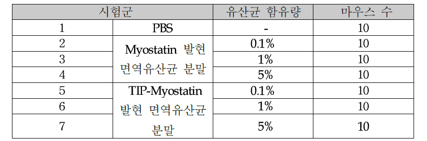 Myostatin 표면발현 유산균 함유 마우스 사료 혼합 투여 실험 스케쥴.