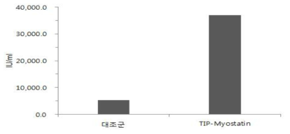 TIP-myostatin 표면발현 유산균 시제품을 이용한 마우스의 creatine kinase 변화.