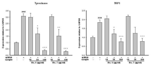 Effect on tyrosinase and TRP1 mRNA expressions in B16F10 cells. B16F10