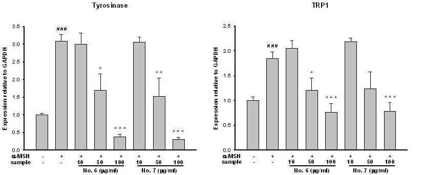 Effect on tyrosinase and TRP1 mRNA expressions in B16F10 cells.