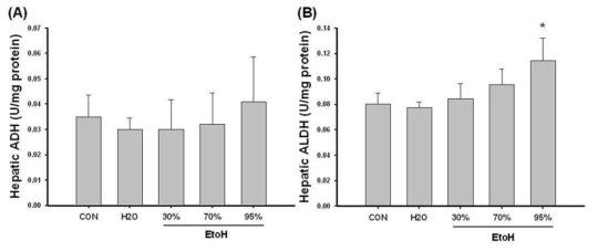 Effect of water or ethanol fraction on hepatic ADH and ALDH activies. Data are expressed mean ± S.E.