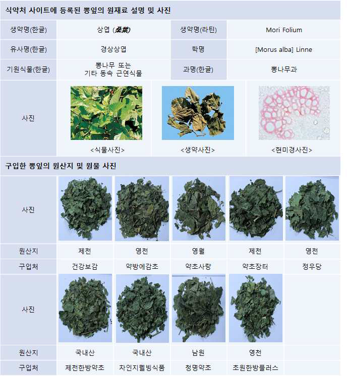 다양한 원산지로부터 구입한 뽕잎 원물의 사진