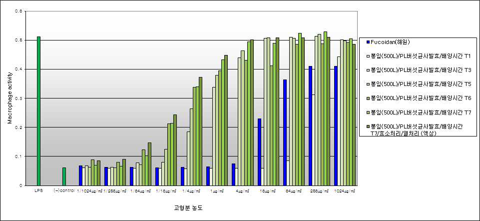 500L 2차 발효조배양에서 뽕잎발효산물의 면역활성 역가