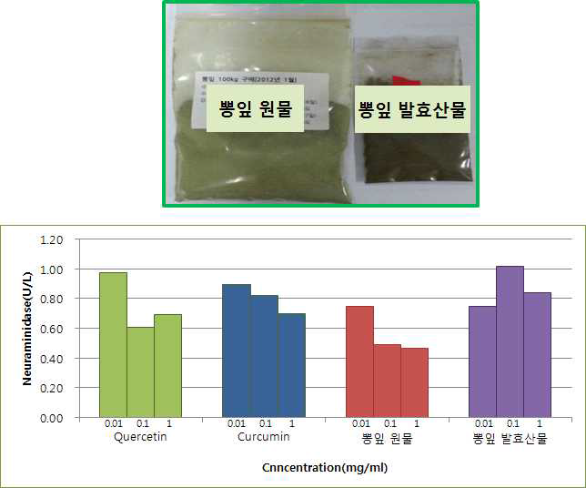 뽕잎원물 및 뽕잎발효산물의 농도별 neuraminidase 저해활성