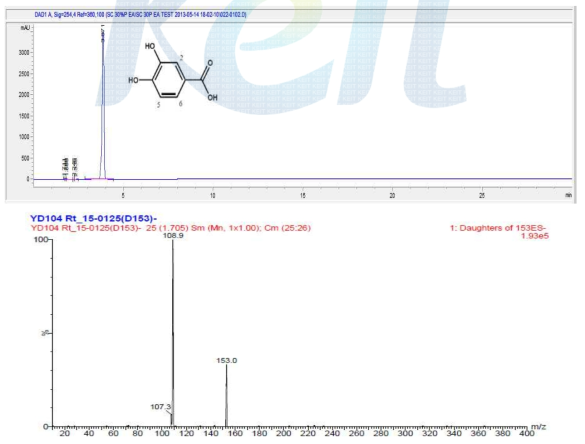 Protocatecuic acid의 HPLC chromatogram과 MS/MS 분석 피크