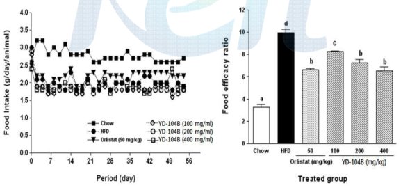 8주간 HFD 유도 및 Orlistat 또는 YD-104B 투여군의 식이 섭취량 및 식이효율
