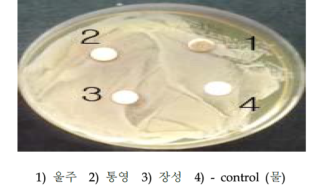 microwave 추출물의 여드름균 효능