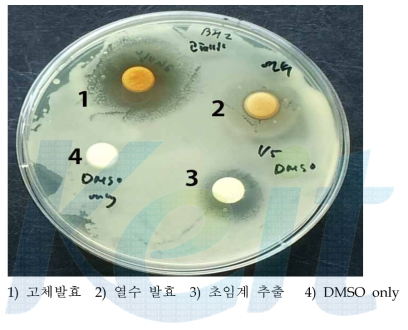 초임계 추출물과 L. platarum 발효물 여드름 균에 대한 비교