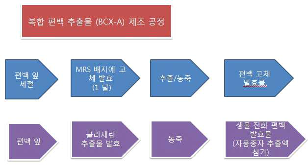 복합 편백 추출물 ( BCX-A) 제조 공정 요약