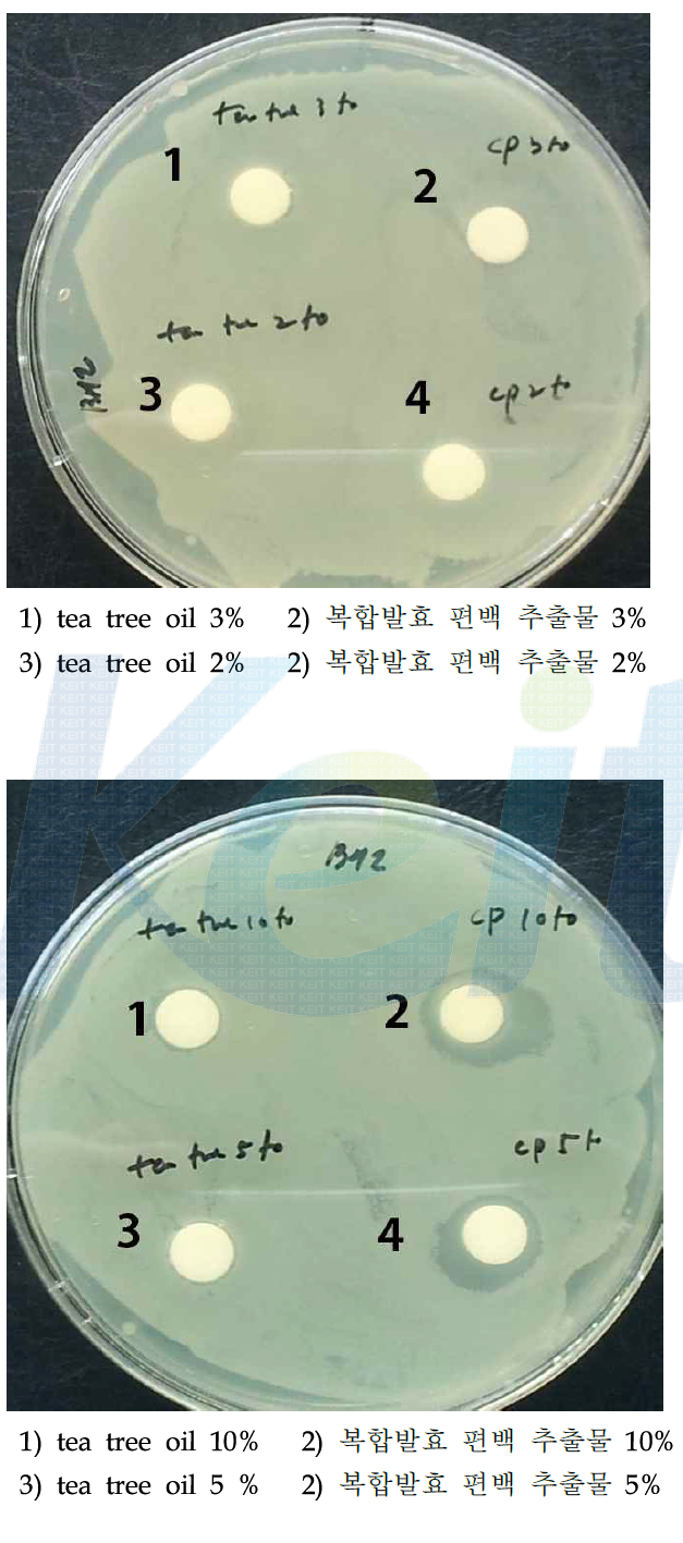 복합 편백 추출물과 tea tree oil 비교 (세럼 제형에서 여드름 균)