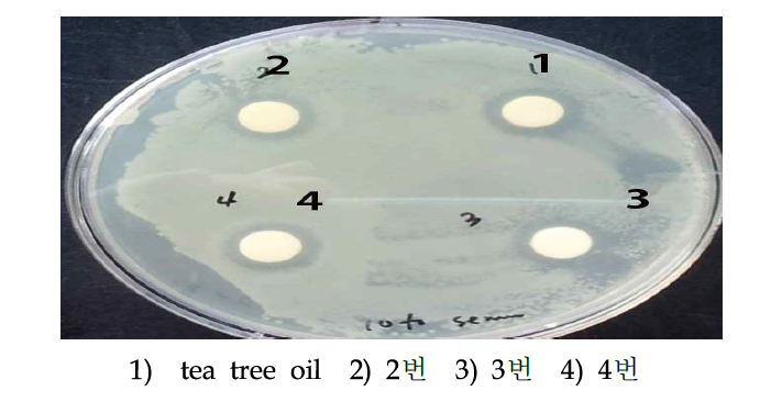 표 4 에 나온 조합으로 세럼에 첨가 하여 여드름 균 효능 비교