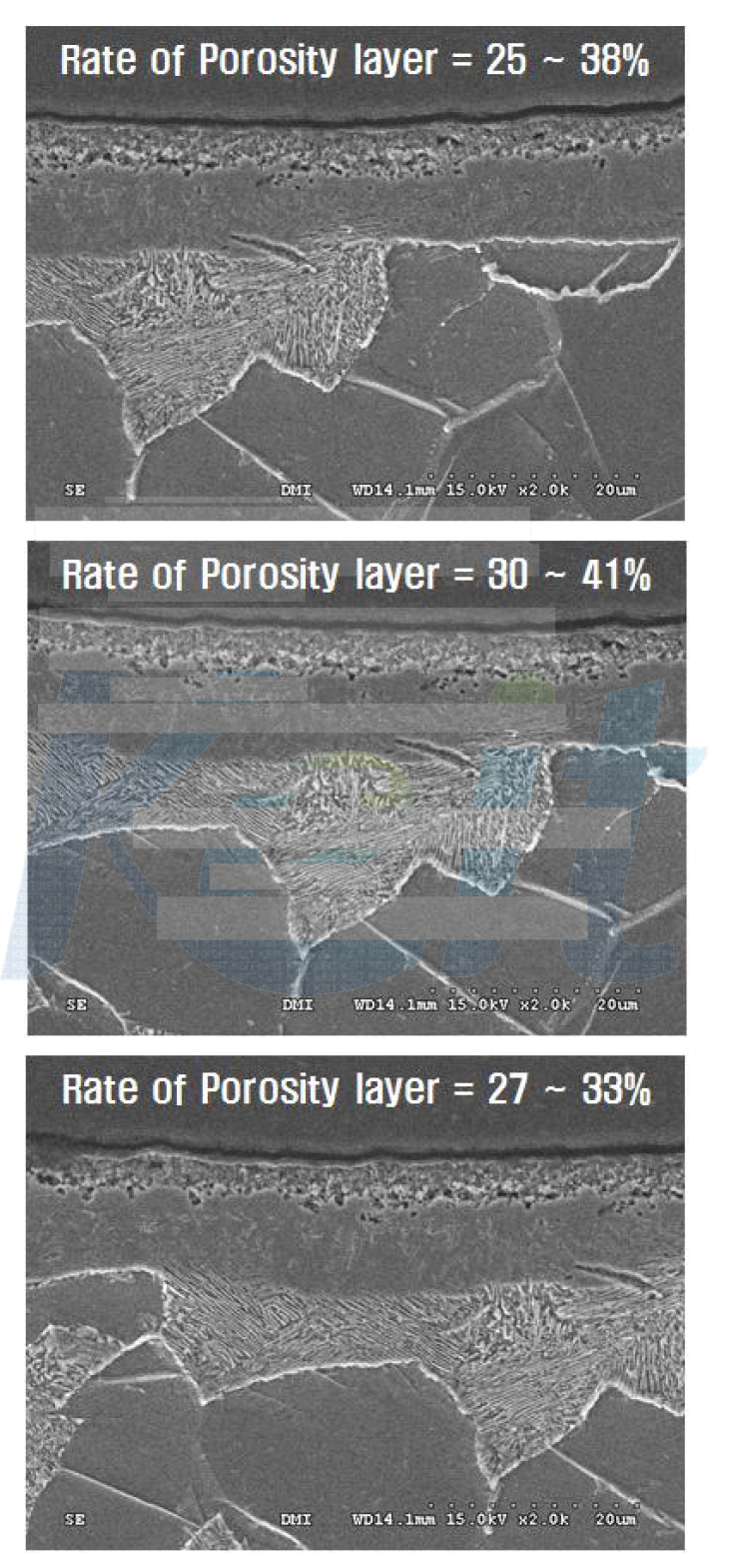 선진사 제품 질화층의 Porosity layer의 SEM image