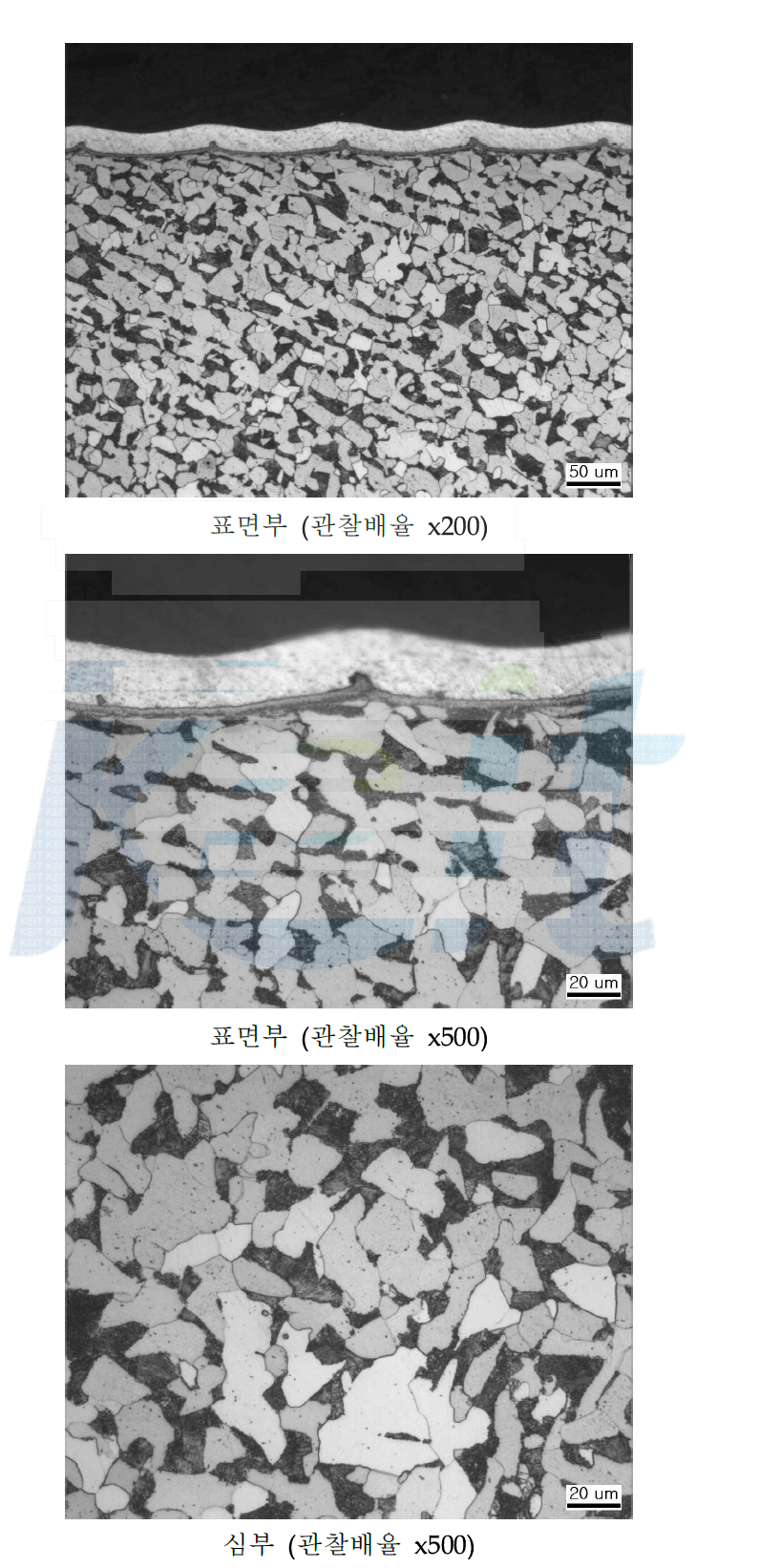 질화 TO품 A의 부위별 광학현미경 조직