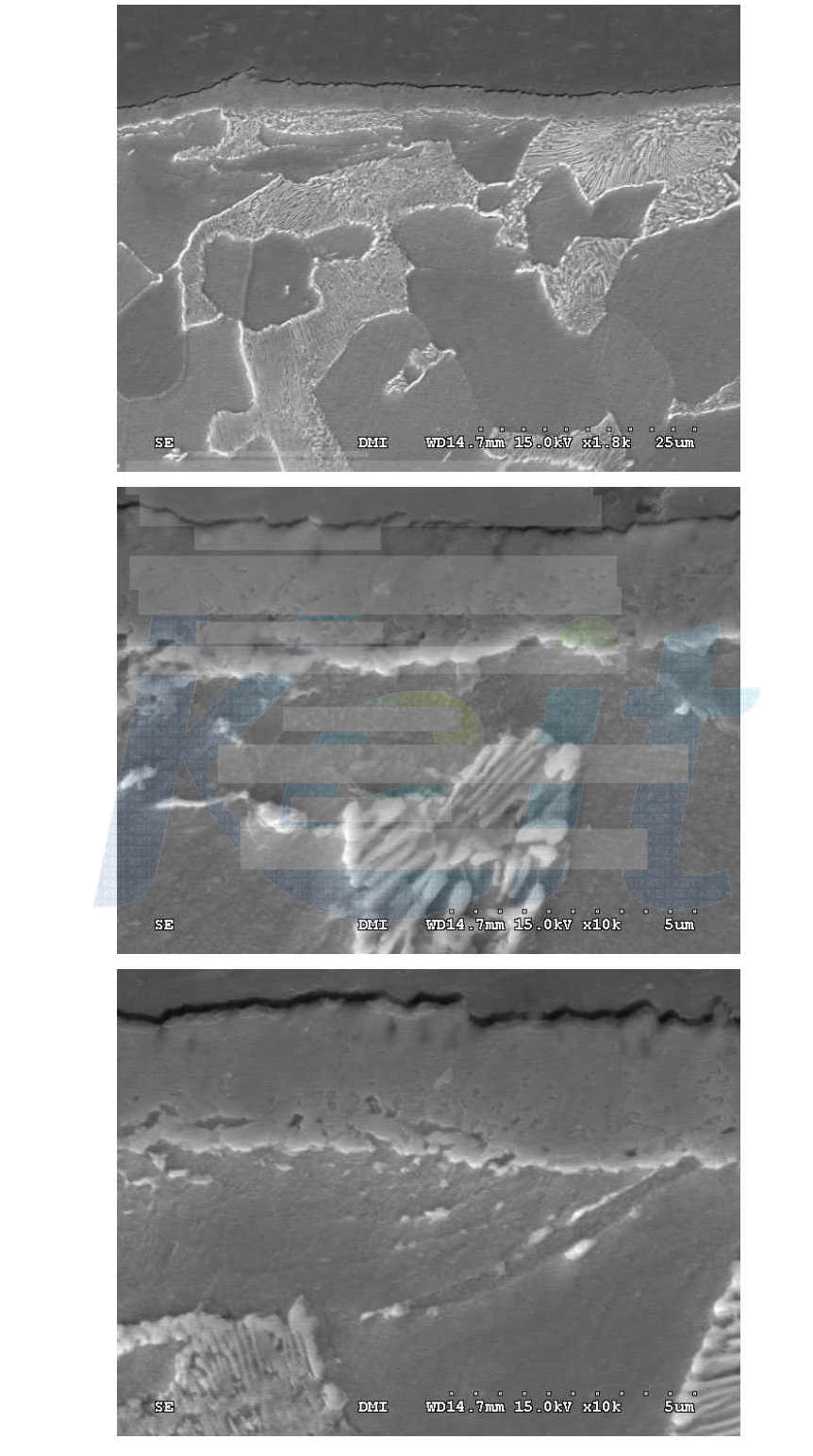 질화 TO품 A의 화합물층의 SEM image