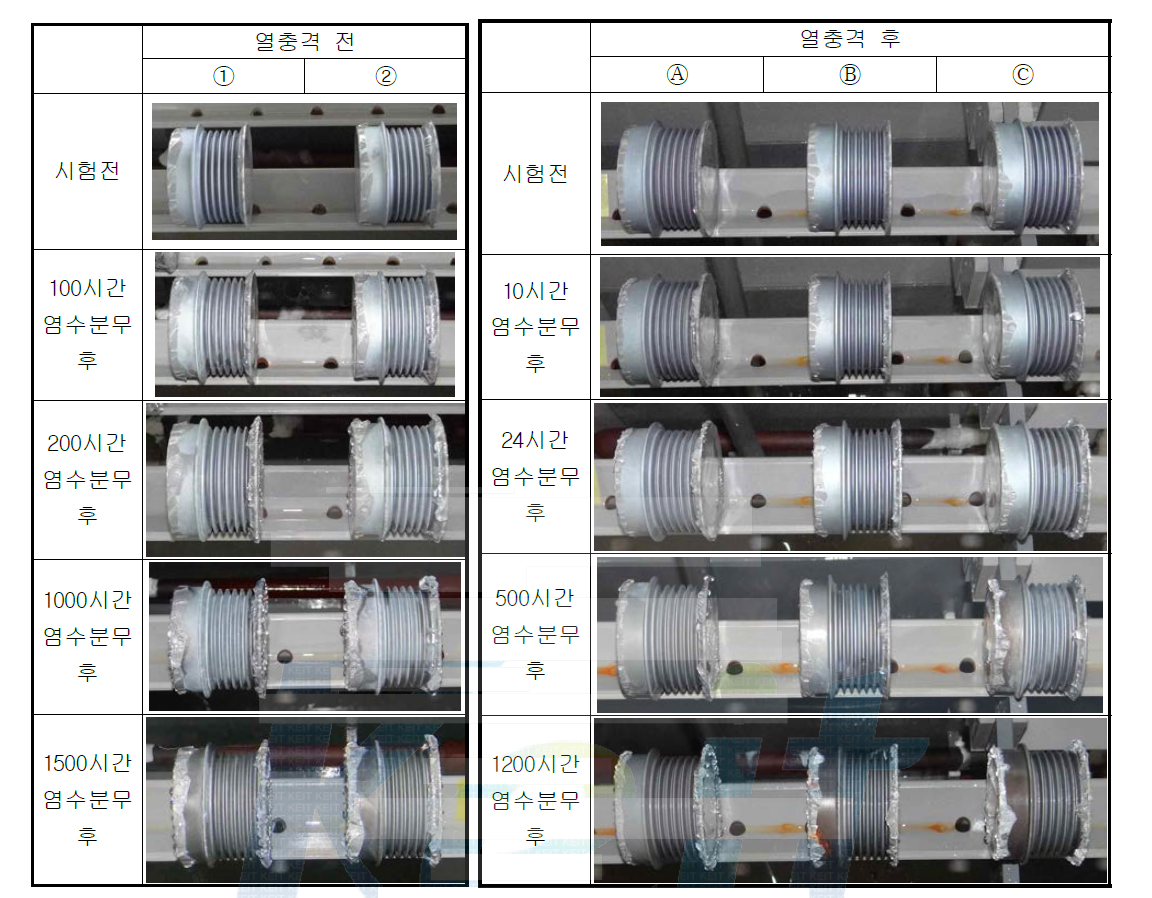 도금조건 Ⅱ TO품의 염수분무시험 전후 사진