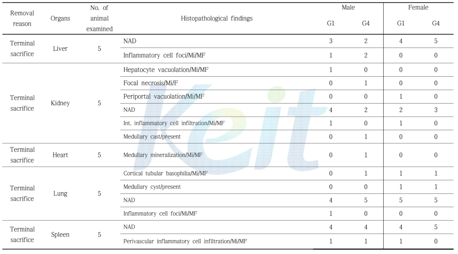 Summary incidence of histopathological findings