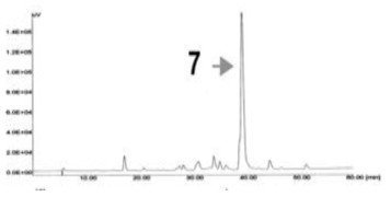 곤드레 추출물에 함유된 pectolinarin의 chromatogram