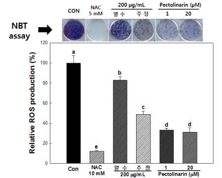 곤드레 추출물 및 pectolinarin의 지방세포 내 ROS 생성 억제