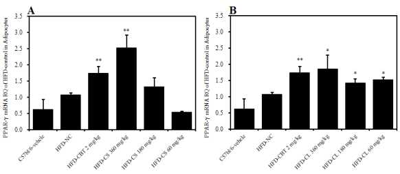 β3-AR mRNA expression in adipocytes by real-time PCR