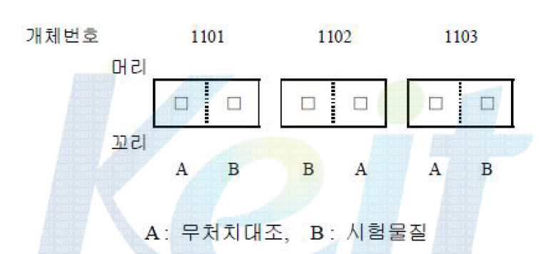 투여부위