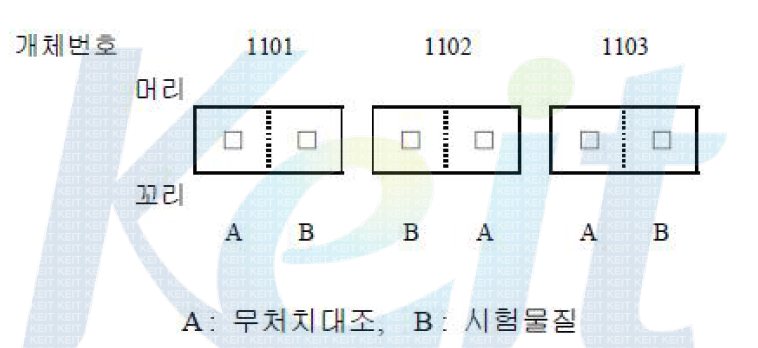 투여부위