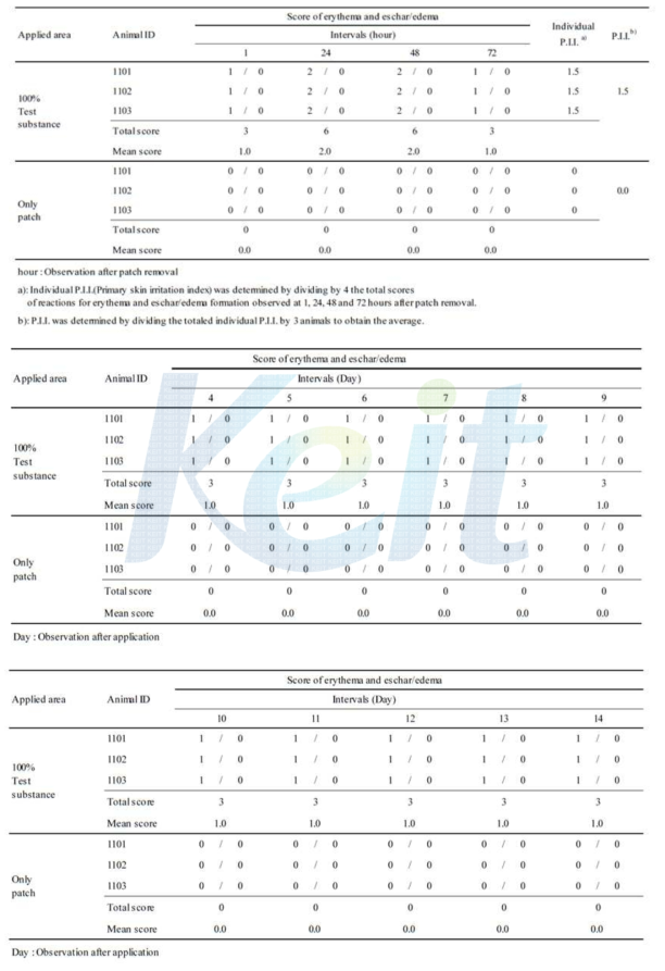 Skin Irritation Scores.