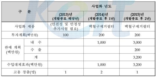 사업화 계획