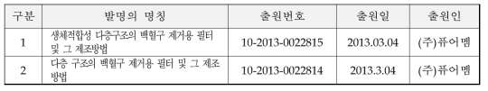 특허출원 현황