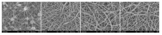농도별 SEM 사진