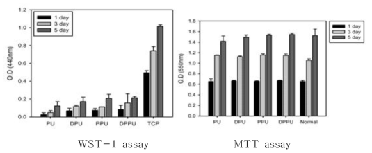 Cytotoxicity test (WST-1, MTT assay).