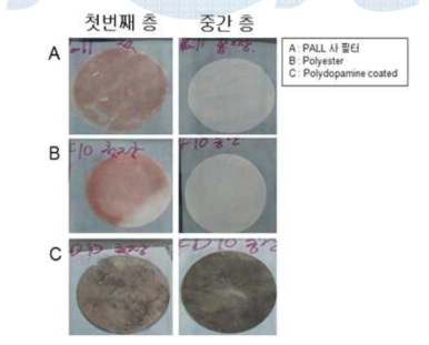 혈액 투과 후 샘플 관찰.