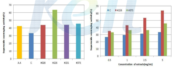 Superoxide radical(SOR) of 50% ethanol extracts from the control and fermented Codonopsis lanceolate with #028, #226, #231, #373 strains.