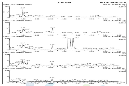 Mass chromatogram of deodeok and fermented deodeok