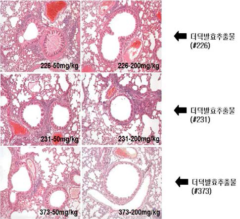 Histopathological results of #226, #231 and #373 sample.
