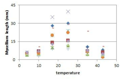 The growth of the mushroom mycelium at different temperatures on the D deodeok juice agar plate