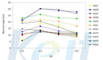 The growth of the mushroom mycelium at different pH on the deodeok juice agar plate