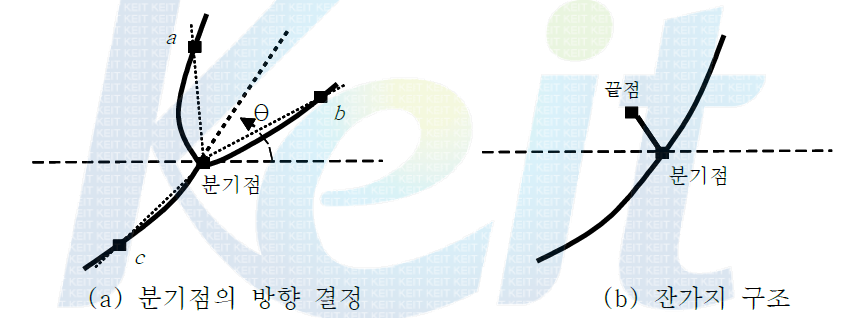 분기점의 방향과 잔가지 구조