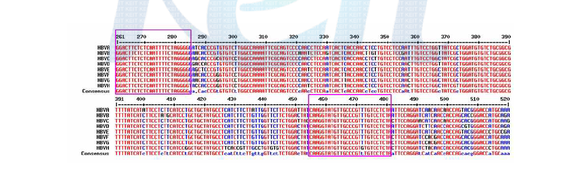 HBV S gene multi-alignment