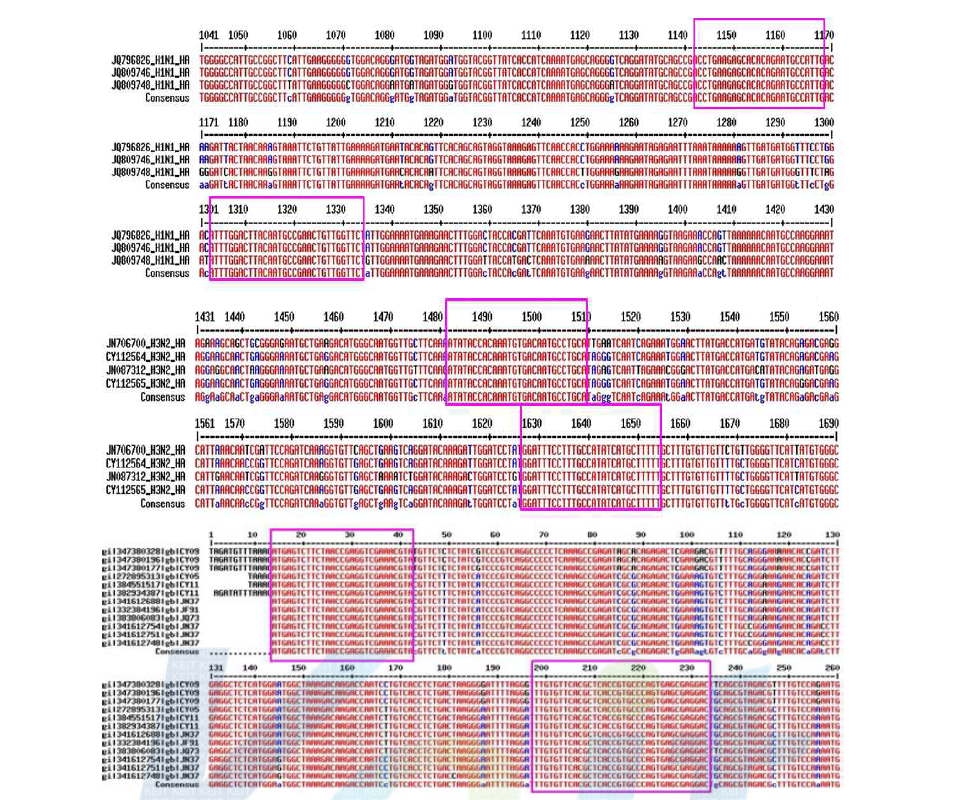 IFNV H1/H3/M gene multi-alignment
