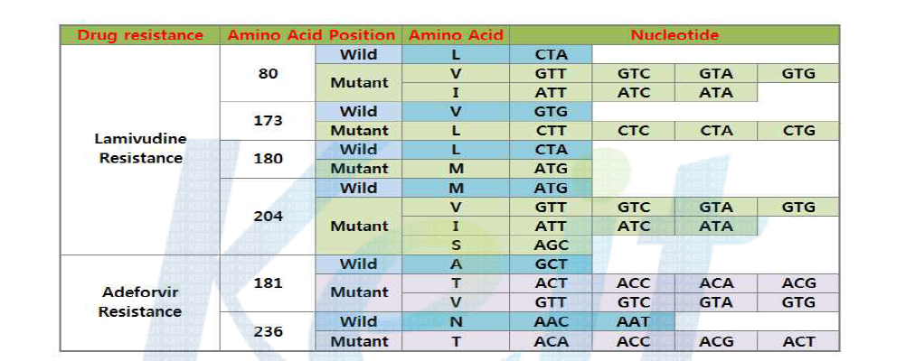 각 position별 wild/mutant type의 amino acid와 nucleotide 정보