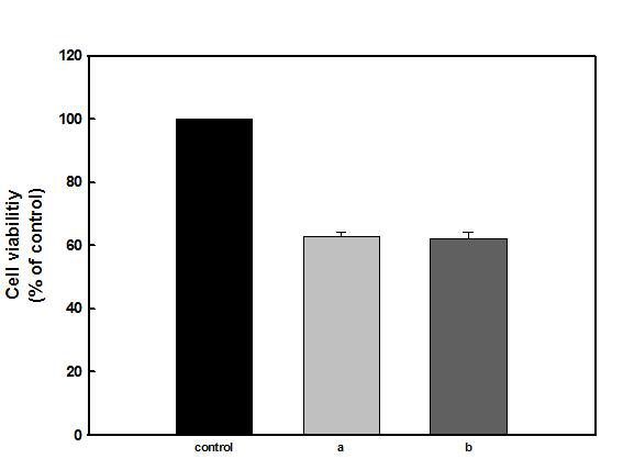 이원중합형 임플란트용 임시 레진시멘트 및 타사제품의 세포독성 비교(n=5) a) EsTemp Implant cement (자사), b) Premier Implant Cement (미국)