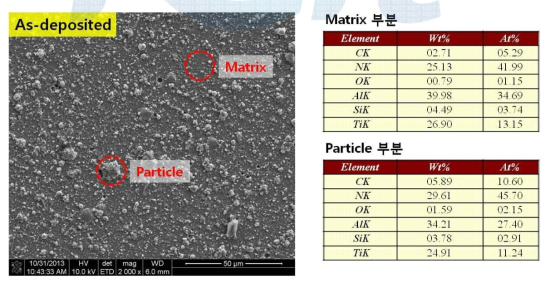 고온 XRD 시편 FE-SEM 분석(As-deposited)