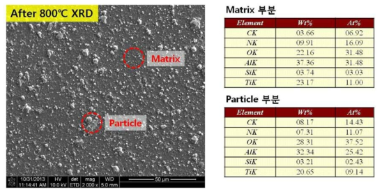 고온 XRD 시편 FE-SEM 분석( 800℃)