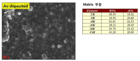 As-deposited 샘플 FE-SEM 분석