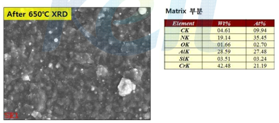 고온 XRD 시편 FE-SEM 분석( 650℃)