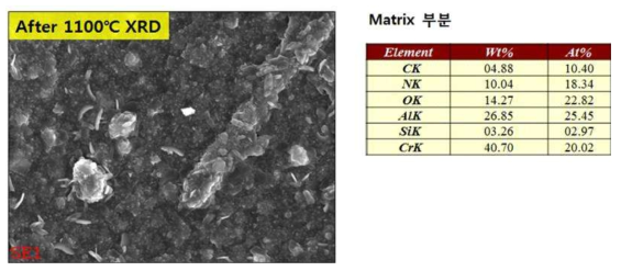 고온 XRD 시편 FE-SEM 분석( 1100℃)