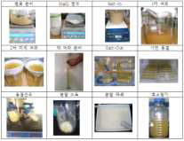 펩타이드 추출 PROCESS(Lab-scale)