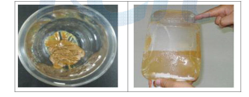 NaCl 염석 후 24시간 냉장 보관시 발생하는 고분자 침전 (채수병 보관 시 수용액을 뒤집어도 점착력으로 아래로 침전되지 않음)
